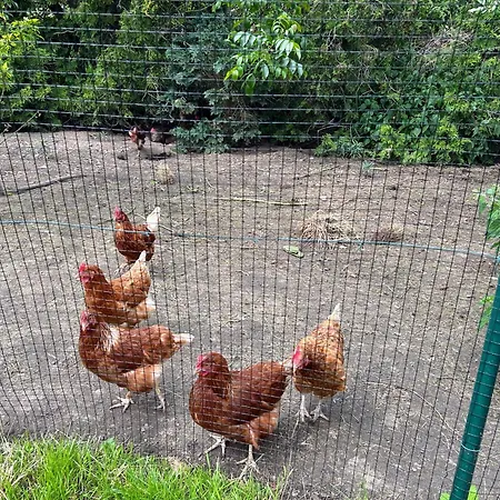 Am Spatzennest * Ummendorf (Borde)