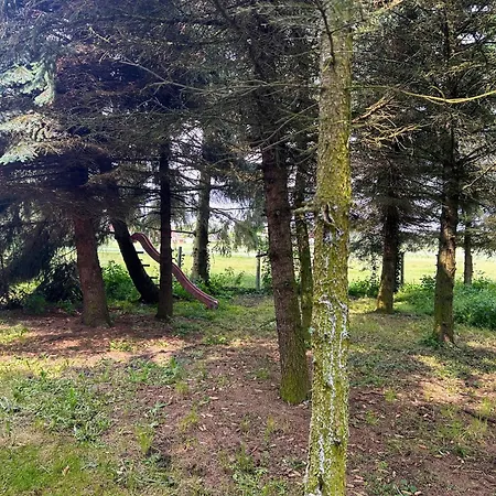 Apartment Am Spatzennest *