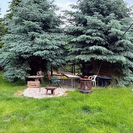 Am Spatzennest Ummendorf (Borde)