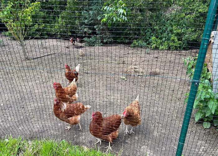 Am Spatzennest * Ummendorf (Borde)