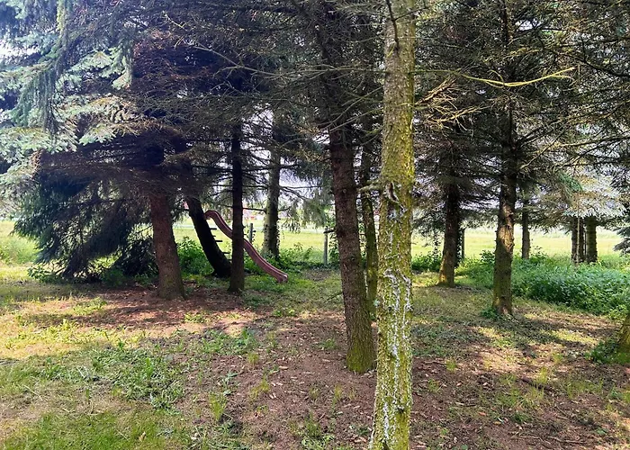 公寓 Am Spatzennest *